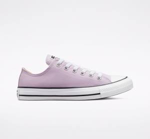 Zapatillas Bajas Converse Chuck Taylor All Star Seasonal Color Tenis Lavanda | CV-165OAT