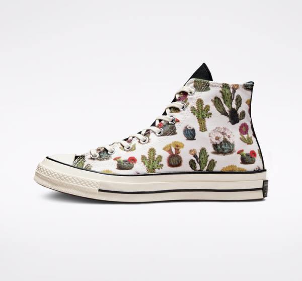 Zapatillas Altas Converse Chuck 70 Succulents Tenis Negras | CV-123ASG