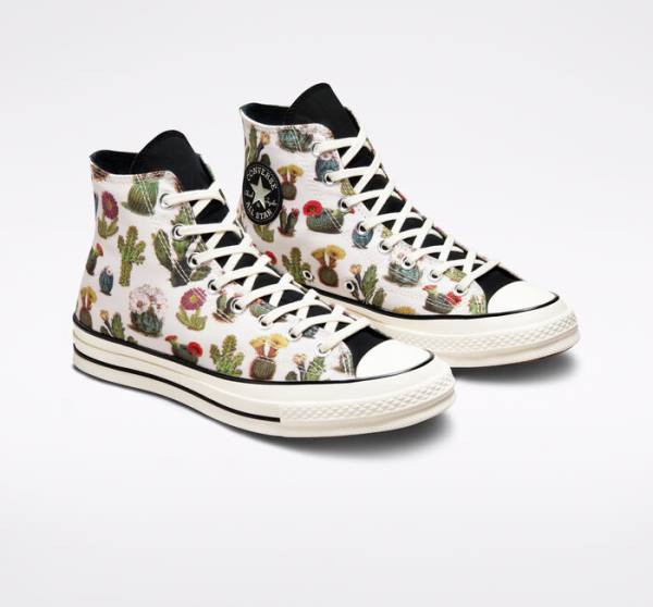 Zapatillas Altas Converse Chuck 70 Succulents Tenis Negras | CV-123ASG