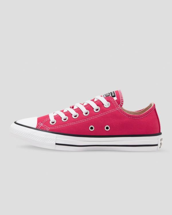 Zapatillas Bajas Converse Chuck Taylor All Star Seasonal Colour Tenis Rosas | CV-683PZY