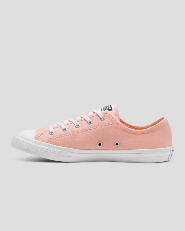 Zapatillas Bajas Converse Chuck Taylor All Star Dainty Seasonal Colour Tenis Rosas | CV-719VMH