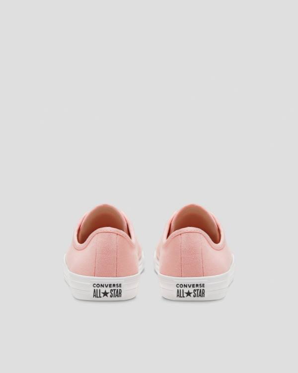 Zapatillas Bajas Converse Chuck Taylor All Star Dainty Seasonal Colour Tenis Rosas | CV-719VMH