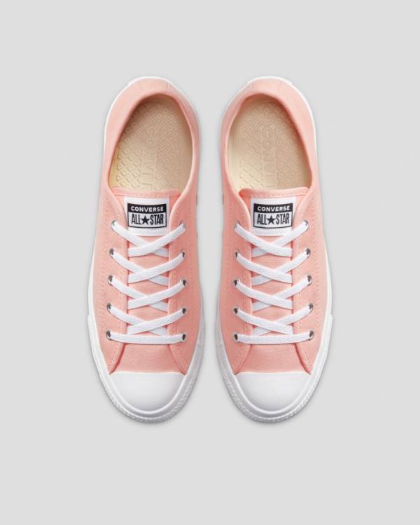 Zapatillas Bajas Converse Chuck Taylor All Star Dainty Seasonal Colour Tenis Rosas | CV-719VMH