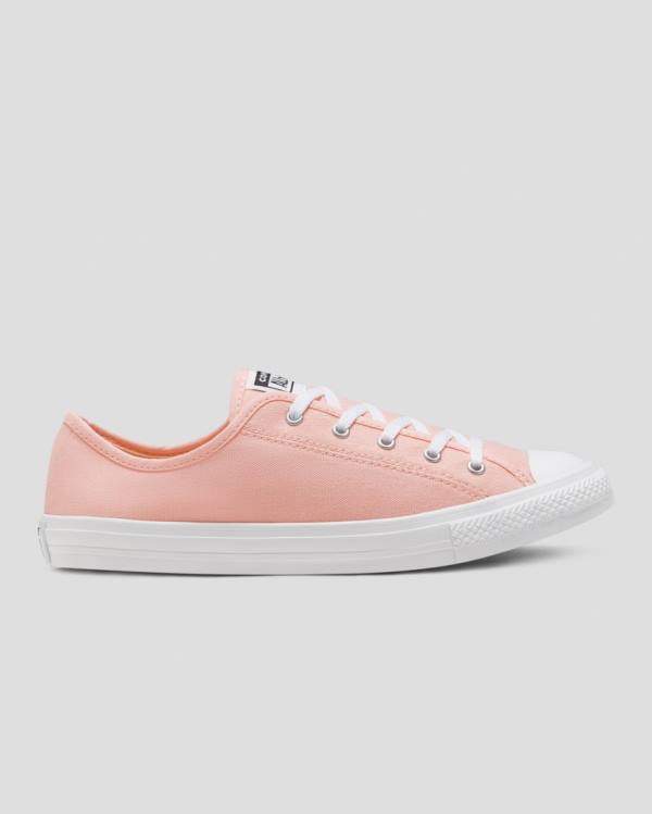 Zapatillas Bajas Converse Chuck Taylor All Star Dainty Seasonal Colour Tenis Rosas | CV-719VMH